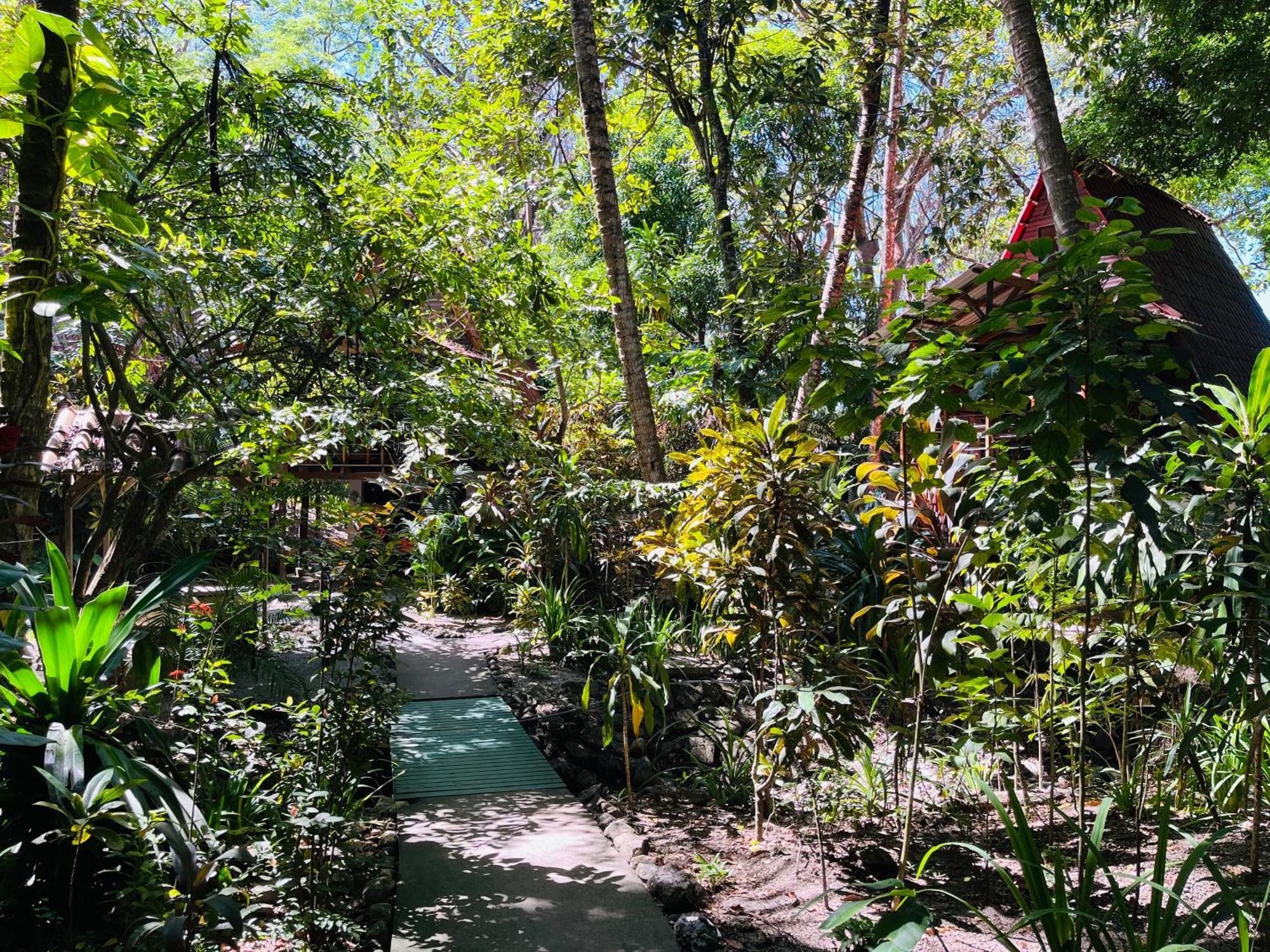 Calala Lodge Cabuya  Ngoại thất bức ảnh