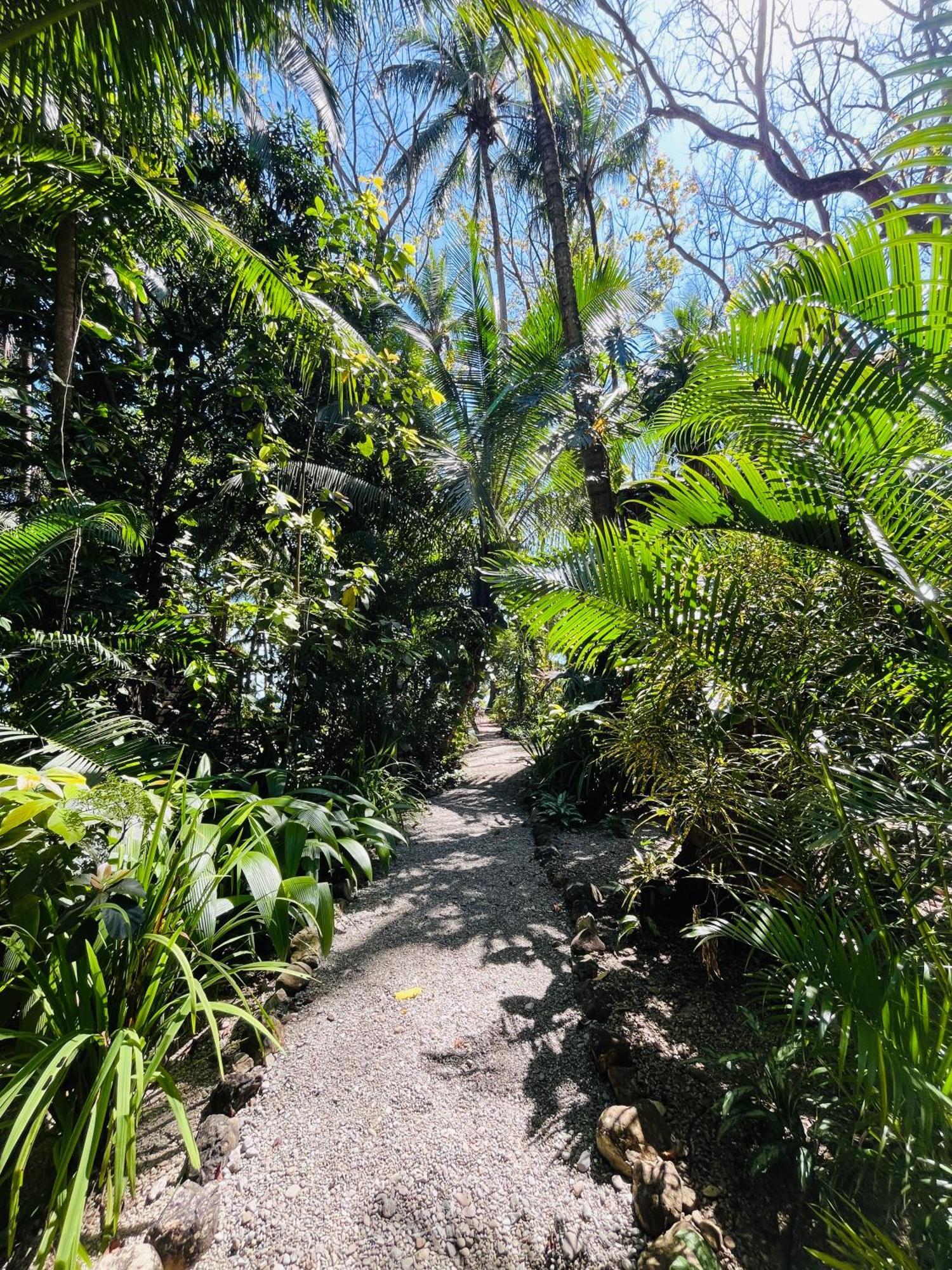 Calala Lodge Cabuya  Ngoại thất bức ảnh