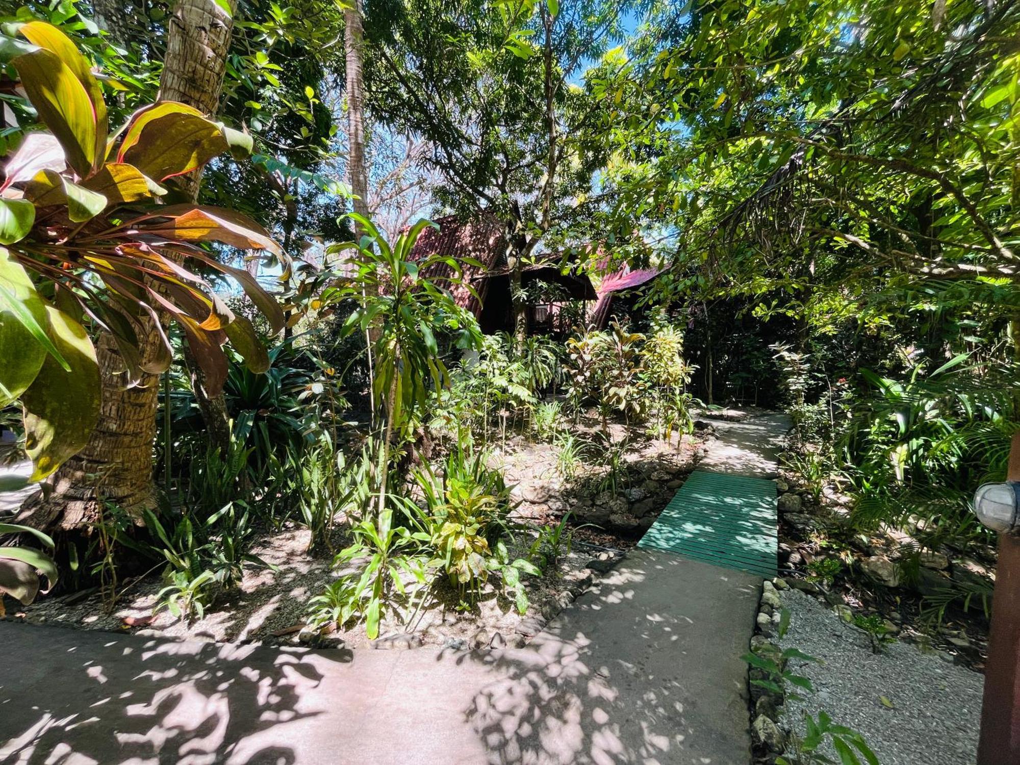 Calala Lodge Cabuya  Ngoại thất bức ảnh