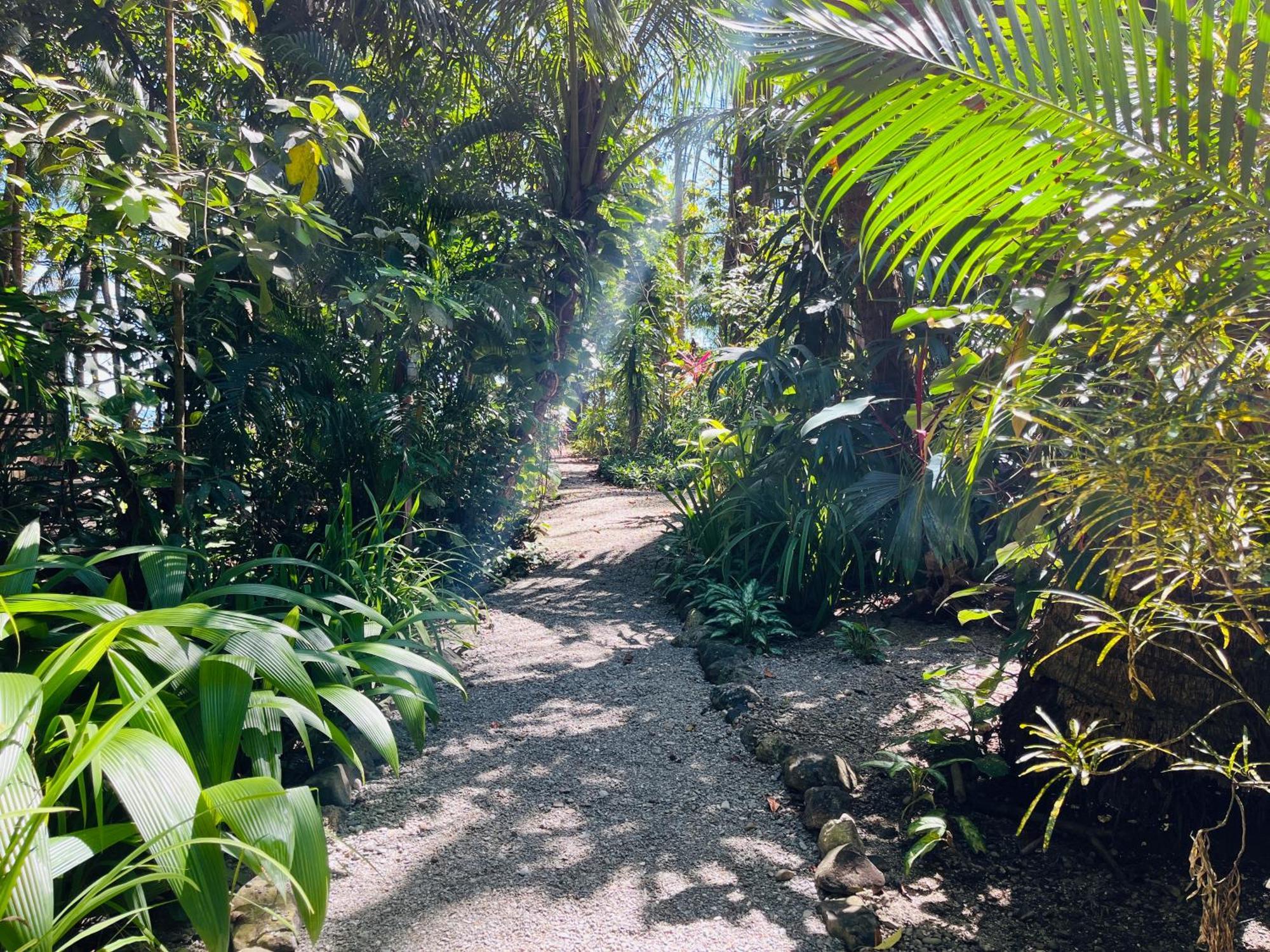 Calala Lodge Cabuya  Ngoại thất bức ảnh