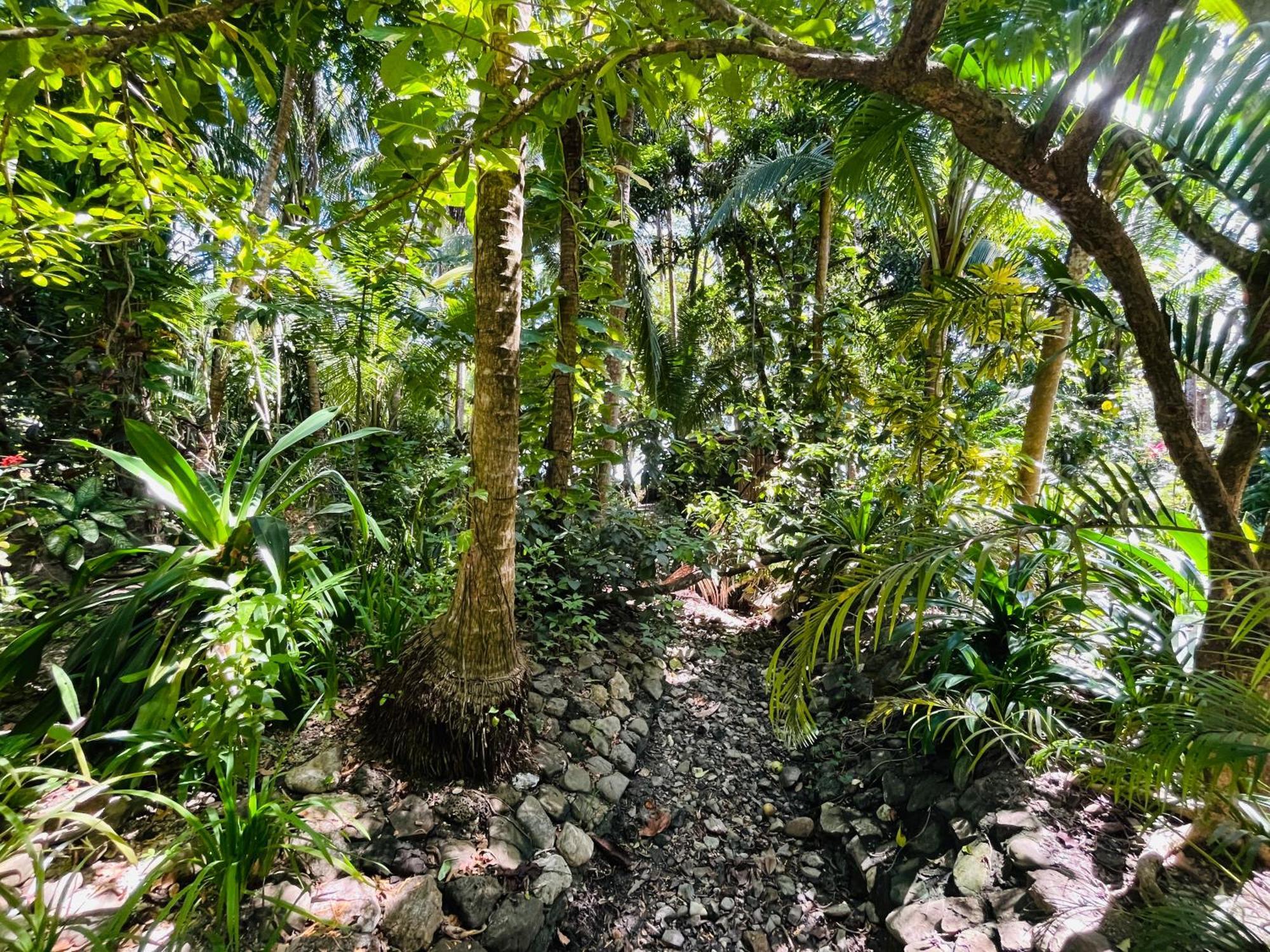 Calala Lodge Cabuya  Ngoại thất bức ảnh