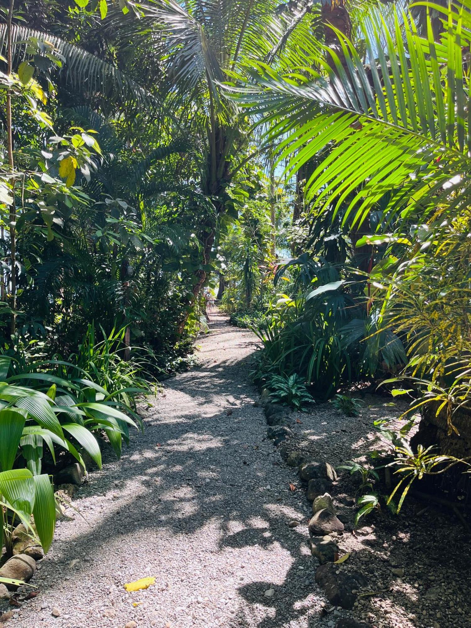 Calala Lodge Cabuya  Ngoại thất bức ảnh