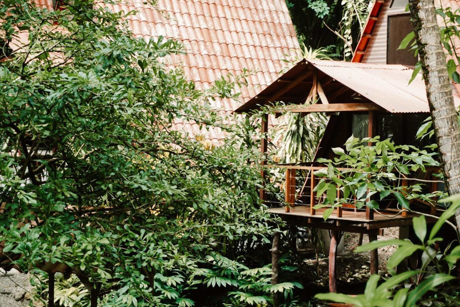 Calala Lodge Cabuya  Ngoại thất bức ảnh